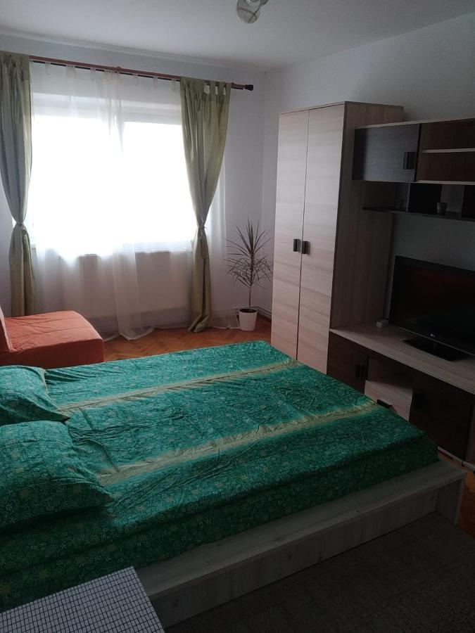 Apartament Erik Apartment Sibiu Ngoại thất bức ảnh
